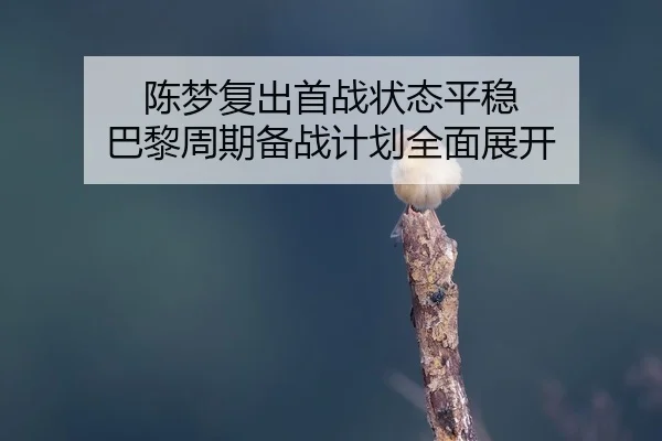 陈梦复出首战状态平稳 巴黎周期备战计划全面展开